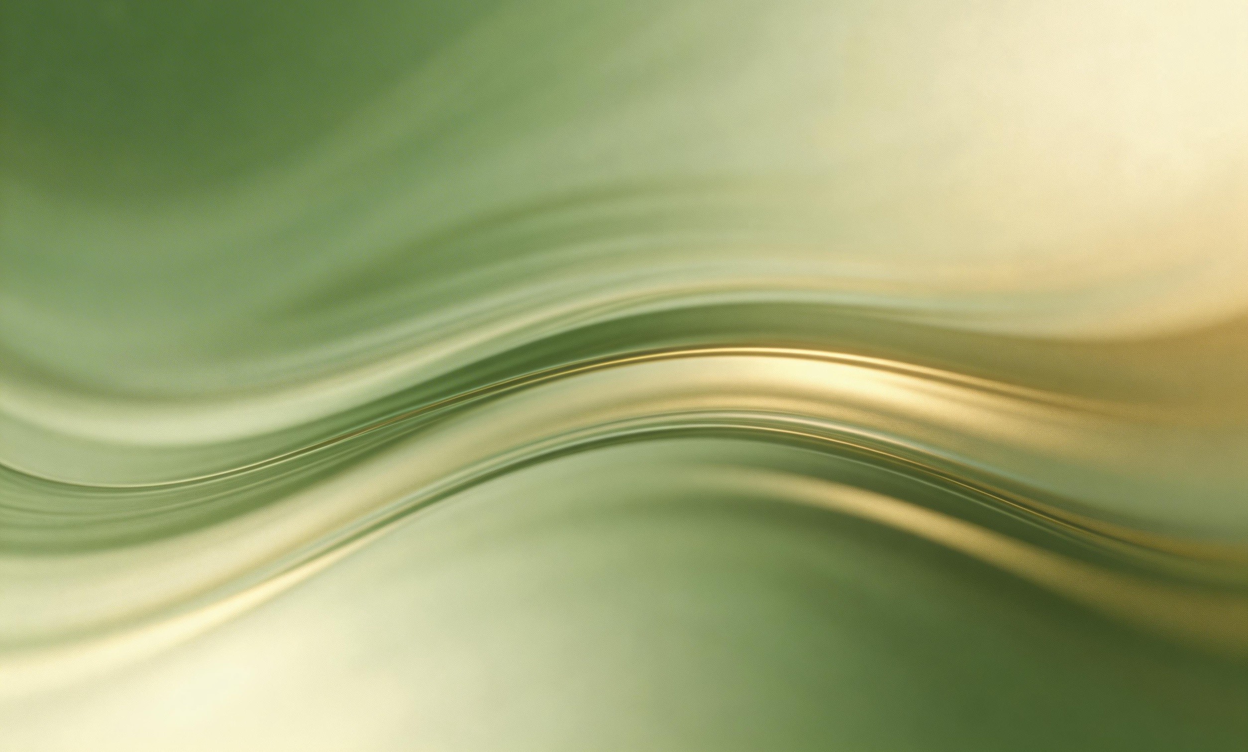 语言验证服务哪家能进行语言学评估?